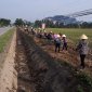Minh Tân xây dựng nông thôn sạch - đẹp gắn với Nông thôn mới nâng cao